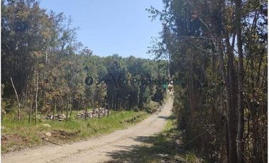 Parcela en Venta en PARCELAS SECTOR POLINCAY PUERTO MONTT/ CREDITO DIRECTO