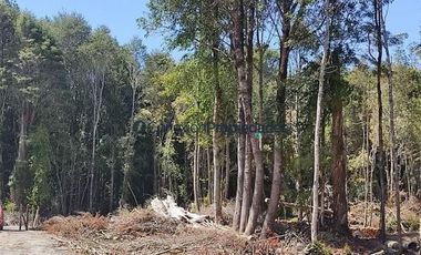 Parcela en Venta en PARCELAS SECTOR POLINCAY PUERTO MONTT/ CREDITO DIRECTO