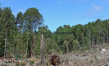 Parcela en Venta en PARCELAS SECTOR POLINCAY PUERTO MONTT/ CREDITO DIRECTO