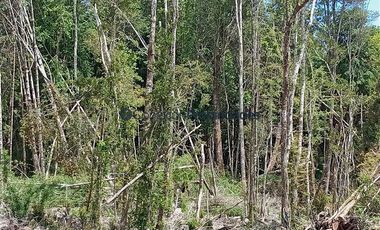 Parcela en Venta en PARCELAS SECTOR POLINCAY PUERTO MONTT/ CREDITO DIRECTO