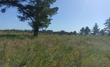 Parcela en Venta en PARCELA EN LA RESERVA DE FRUTILLAR/ CONDOMINIO CONSOLIDADO CON MARINA