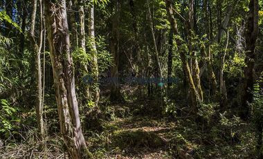 Parcela en Venta en PARCELA EN LA RESERVA DE FRUTILLAR/ CONDOMINIO CONSOLIDADO CON MARINA