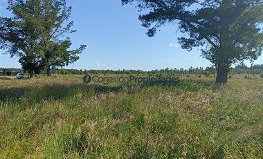 Parcela en Venta en PARCELA EN LA RESERVA DE FRUTILLAR/ CONDOMINIO CONSOLIDADO CON MARINA