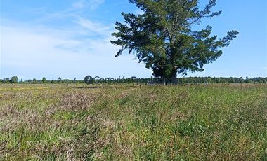 Parcela en Venta en PARCELA EN LA RESERVA DE FRUTILLAR/ CONDOMINIO CONSOLIDADO CON MARINA