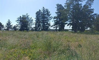 Parcela en Venta en PARCELA EN LA RESERVA DE FRUTILLAR/ CONDOMINIO CONSOLIDADO CON MARINA