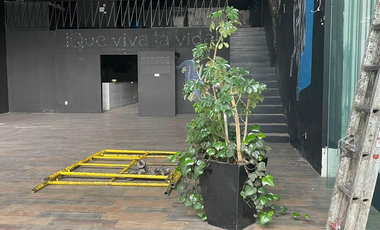 Local comercial en renta en la Col. Contadero