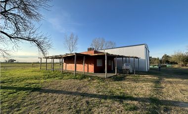Campo en venta en Brandsen. 5 Has sobre ruta 215