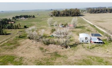 Campo en venta en Brandsen. 5 Has sobre ruta 215