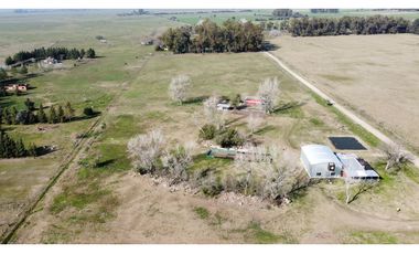 Campo en venta en Brandsen. 5 Has sobre ruta 215