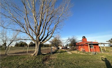 Campo en venta en Brandsen. 5 Has sobre ruta 215