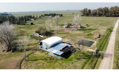 Campo en venta en Brandsen. 5 Has sobre ruta 215