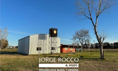Campo en venta en Brandsen. 5 Has sobre ruta 215