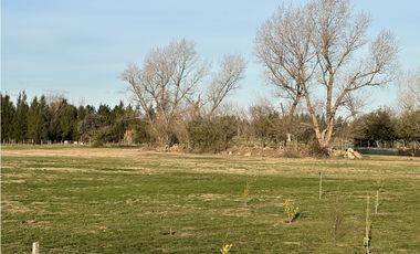 Campo en venta en Brandsen. 5 Has sobre ruta 215