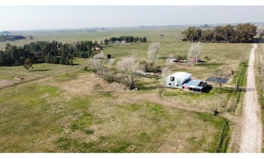Campo en venta en Brandsen. 5 Has sobre ruta 215