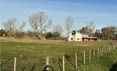 Campo en venta en Brandsen. 5 Has sobre ruta 215