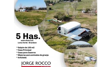 Campo en venta en Brandsen. 5 Has sobre ruta 215
