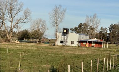 Campo en venta en Brandsen. 5 Has sobre ruta 215