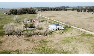 Campo en venta en Brandsen. 5 Has sobre ruta 215