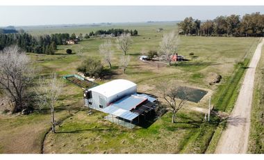 Campo en venta en Brandsen. 5 Has sobre ruta 215