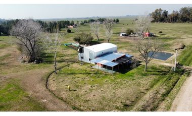 Campo en venta en Brandsen. 5 Has sobre ruta 215