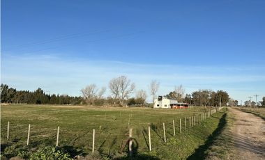 Campo en venta en Brandsen. 5 Has sobre ruta 215