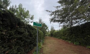 Terreno en venta, en Country Club de ATEMAJAC