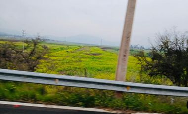 Venta Agrícola 20.000 m2 - Lampa