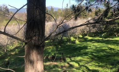 Parcela en Venta en Camino San Manuel - Melipilla