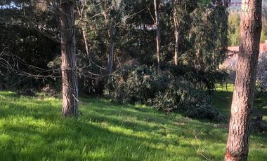 Parcela en Venta en Camino San Manuel - Melipilla