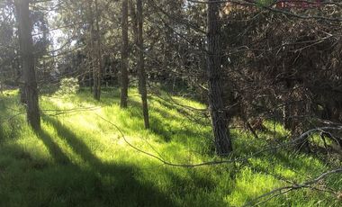 Parcela en Venta en Camino San Manuel - Melipilla