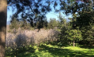 Parcela en Venta en Camino San Manuel - Melipilla