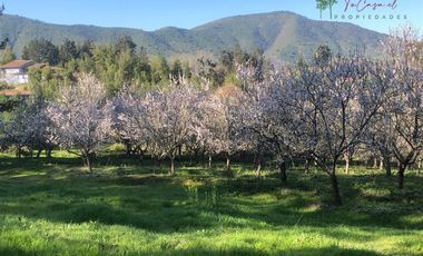 Parcela en Venta en Camino San Manuel - Melipilla
