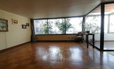 GERTURDIS ECHENIQUE / NAPOLEON