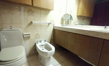 GERTURDIS ECHENIQUE / NAPOLEON