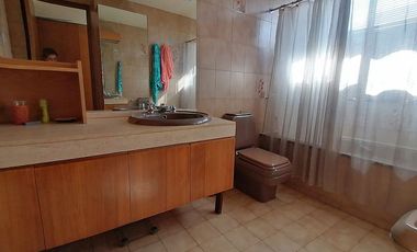 GERTURDIS ECHENIQUE / NAPOLEON