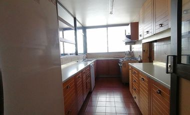 GERTURDIS ECHENIQUE / NAPOLEON