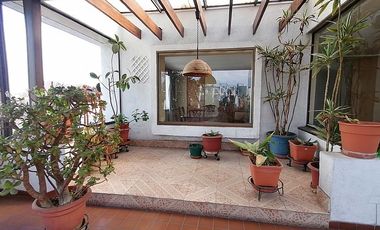 GERTURDIS ECHENIQUE / NAPOLEON