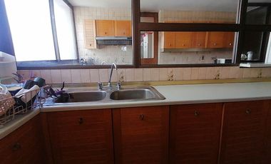 GERTURDIS ECHENIQUE / NAPOLEON