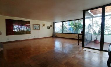 GERTURDIS ECHENIQUE / NAPOLEON