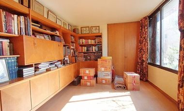 GERTURDIS ECHENIQUE / NAPOLEON