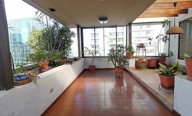 GERTURDIS ECHENIQUE / NAPOLEON