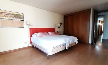 GERTURDIS ECHENIQUE / NAPOLEON