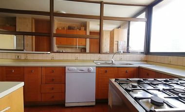 GERTURDIS ECHENIQUE / NAPOLEON