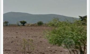 Rancho en venta El Cardo y el Salitre de San Anton, San Miguel de Allende