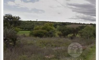 Rancho en venta El Cardo y el Salitre de San Anton, San Miguel de Allende