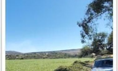 Rancho en venta El Cardo y el Salitre de San Anton, San Miguel de Allende