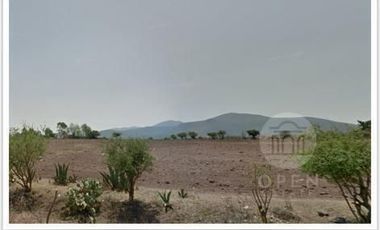 Rancho en venta El Cardo y el Salitre de San Anton, San Miguel de Allende