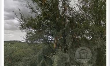 Rancho en venta El Cardo y el Salitre de San Anton, San Miguel de Allende