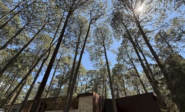 TAPALPA CABAÑA DE LUJO AMUEBLADA EN COPROPIEDAD HACIENDA SAN FRANCISCO