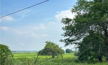 TERRENO EN VENTA EN ZONA PARRILLA CON 63 MTS DE FRENTE